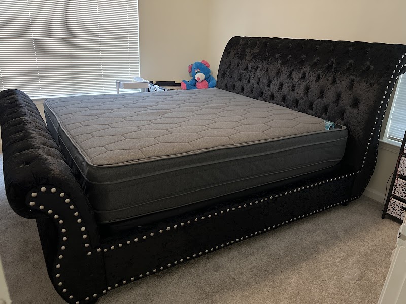 Professional furniture moving